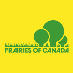 pixel boy - Prairies of Canada