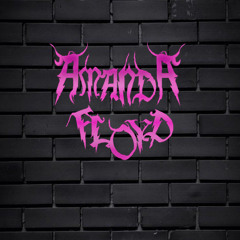 SCHRANZ/HARD TECHNO MIX | AMANDA FLOYD DJ MIX MARCH 2024