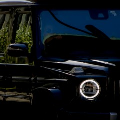 Фет Генг // Заразата