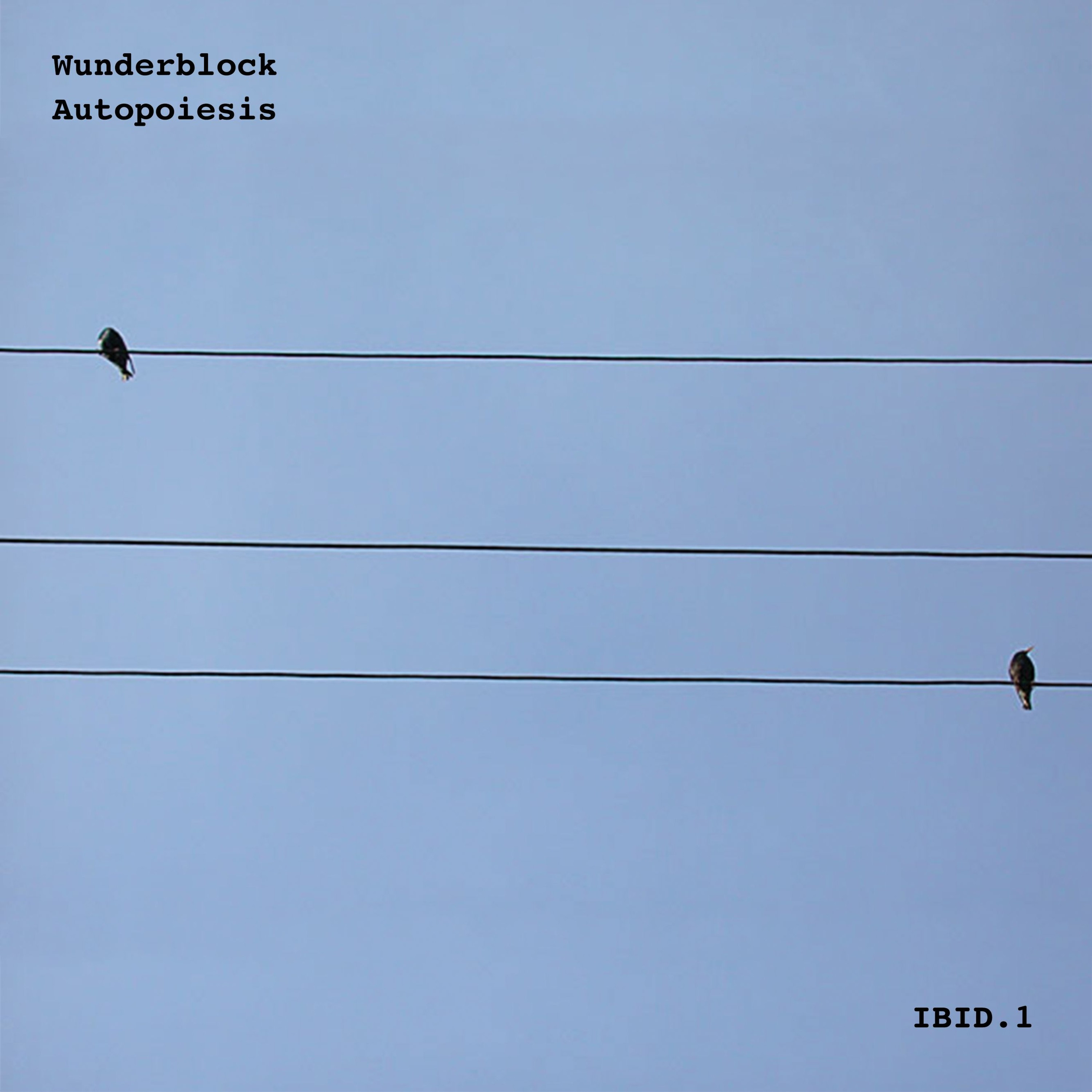Wunderblock Records
