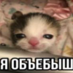 Арина