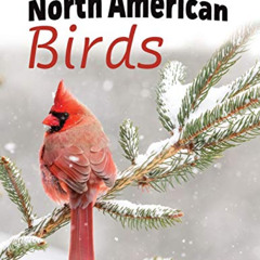 Get EBOOK 📤 North American Birds: Extra-Large Print With Names (For Adults With Deme
