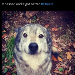 HAPPY NEW YEAR YALL! @c1ggy @virtuaclubabyss