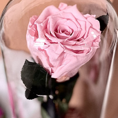 Ah Law Abeltak Men Zaman - Warda.                         اة لو قابلتك من زمان - وردة