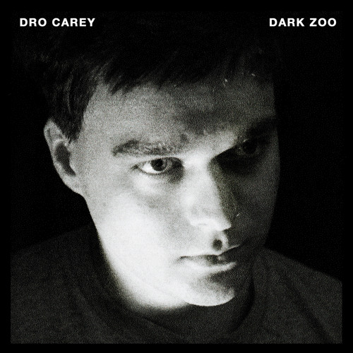 Dark Zoo (Feat. FKL)
