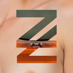 ZEBRA LOVA, Jack Lena - Perfect Pixels