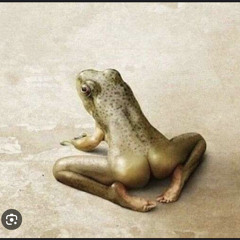 My bullfrog