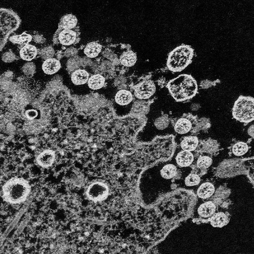 KAFKA - Music for a Pandemic