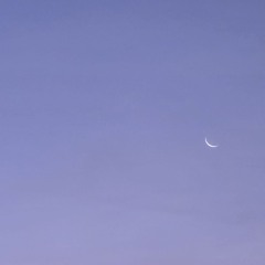 Untitled song (2).wav