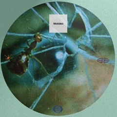 Premiere: MarekSPolzki — Extraordinary [MOD091]