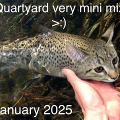 Quartyard very mini mix