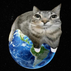 cats cats cats freestyle