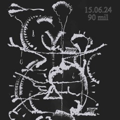 stray signals minimix_06.15.24