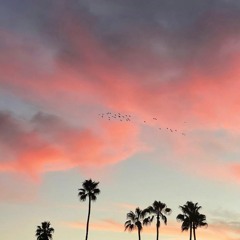 GnZ0_California Love_08.22