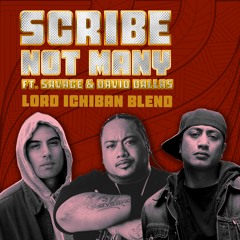Scribe - Not Many (Remix) (Pitched Up Snippet. DL the proper version)