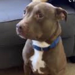 Sailor screwed (prod. Kevin Katana)