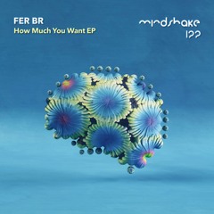 Première | Fer BR - The Sidewinter [Mindshake Records]