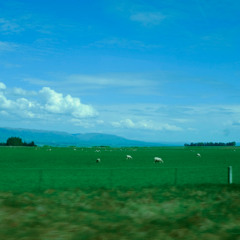 head in the clouds