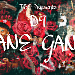 LANE GANG prod by pxnkbeats