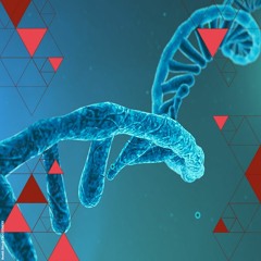 RNA. Een revolutie in de geneeskunde? | Geneticus Rob Collin en ethicus Marianne Boenink, lezingen