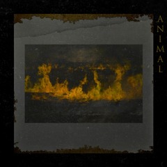 TRUST2O1 - Animal