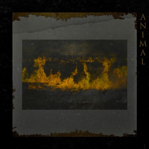 TRUST2O1 - Animal
