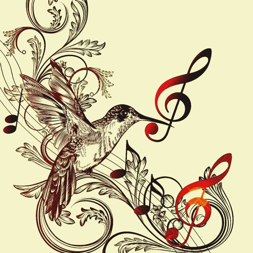 birds of a feather