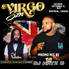Virgo Szn Promo Mix | Mixed By Dj Natz B