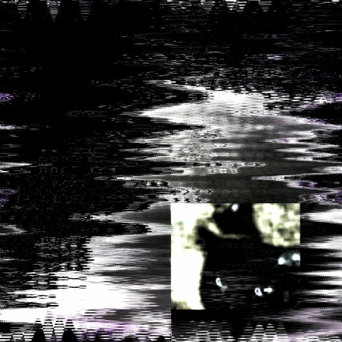 Angels Bleed