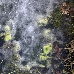 flurry vortex