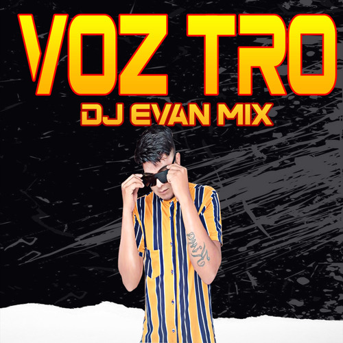 Voz Tro