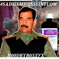 #SADDAMHUSSEINFLOW