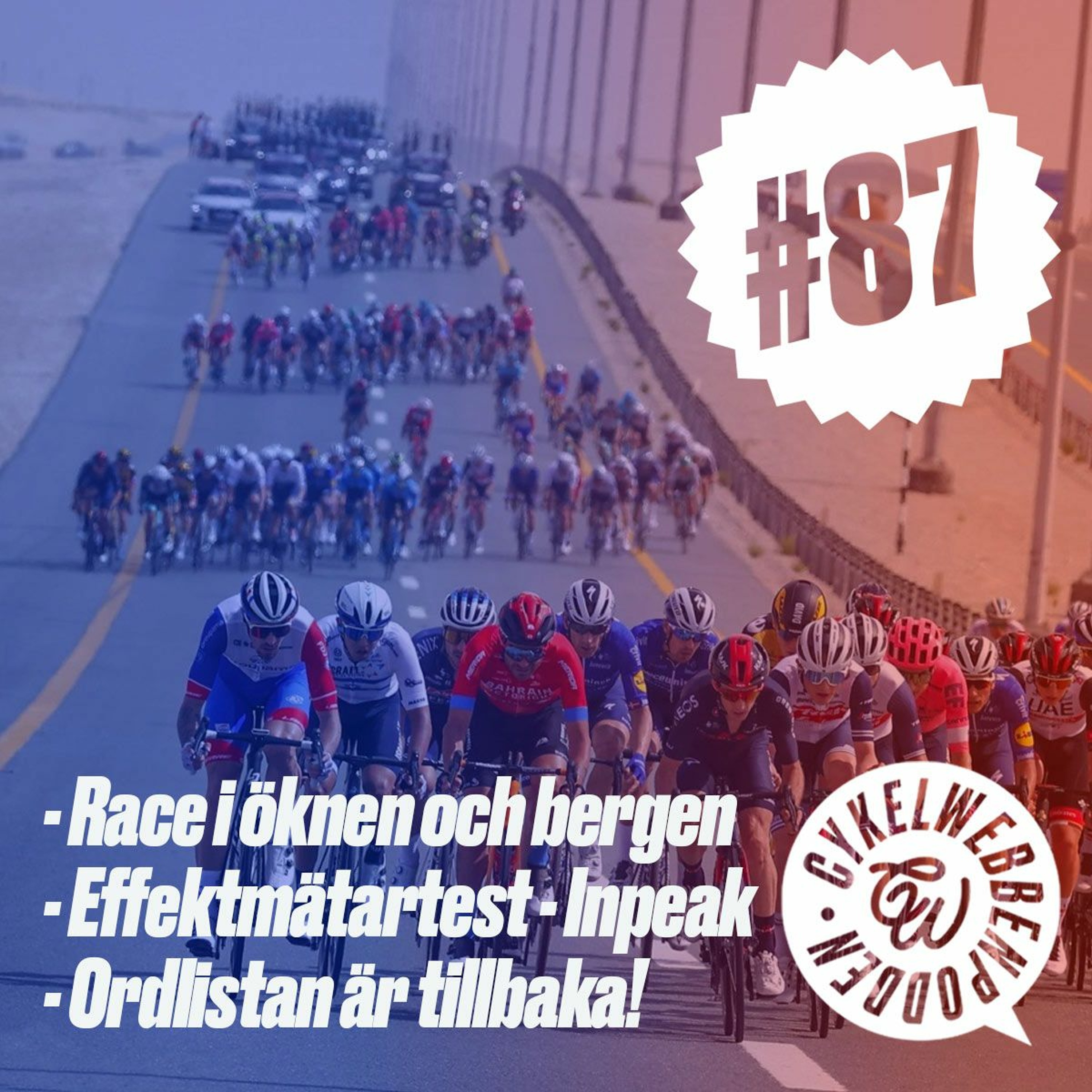 CykelwebbenPodden