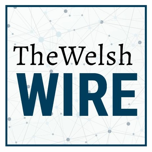 The Welsh Wire: William Crane on Supply Chain Strategies for 2021