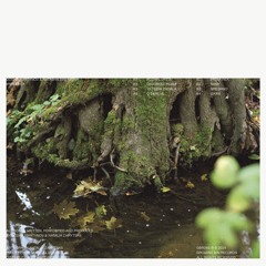 Gosha Martynov & Natasha Sinyakova - O Dereve