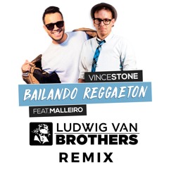 Bailando Reggaeton (Ludwig Van Brothers Remix)