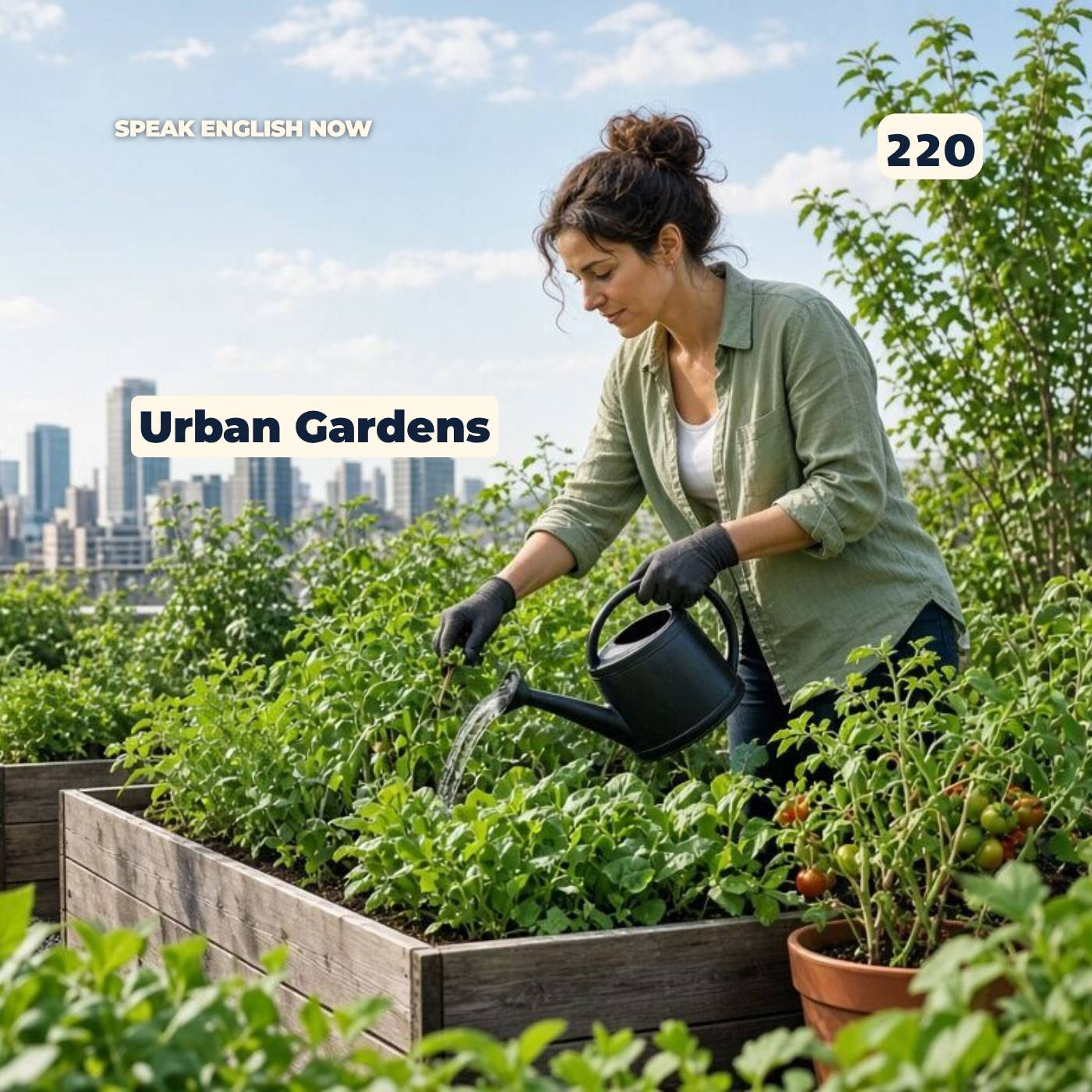 #220 Urban Gardens in English episode artwork