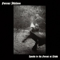 5. The Forest I Know So Well