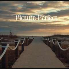 Picture Perfect Navaan Sandhu (slowed reverb)