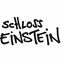 Schloss Einstein - Alles ist relativ (Different Ears House Remix Edit)