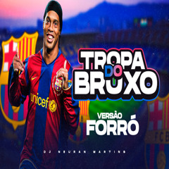 TROPA DO BRUXO VERSAO FORRO