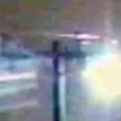 ANGELNO 2021 (kip, wilf, skies)