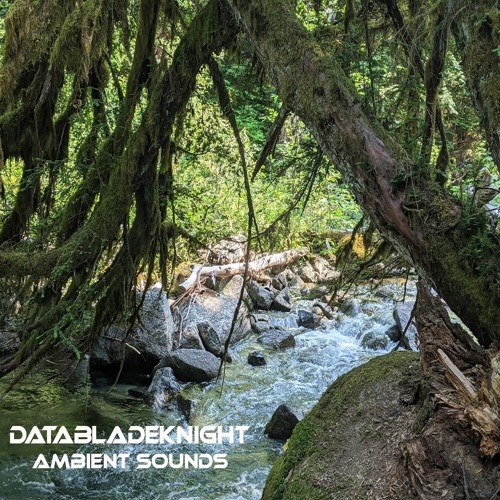Stream DataBladeKnight | Listen to Ambient Sounds playlist online for ...