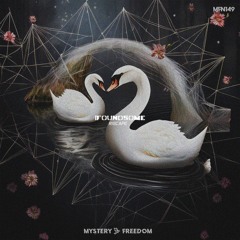 Ifoundsome (Original Mix) [Mystery Freedom Network 149] 🦢