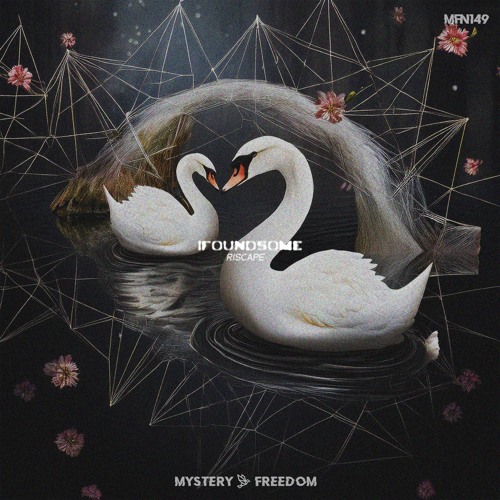 Ifoundsome (Original Mix) [Mystery Freedom Network 149] 🦢