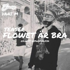 Flowet är bra Einár & Dani M (TEASER)