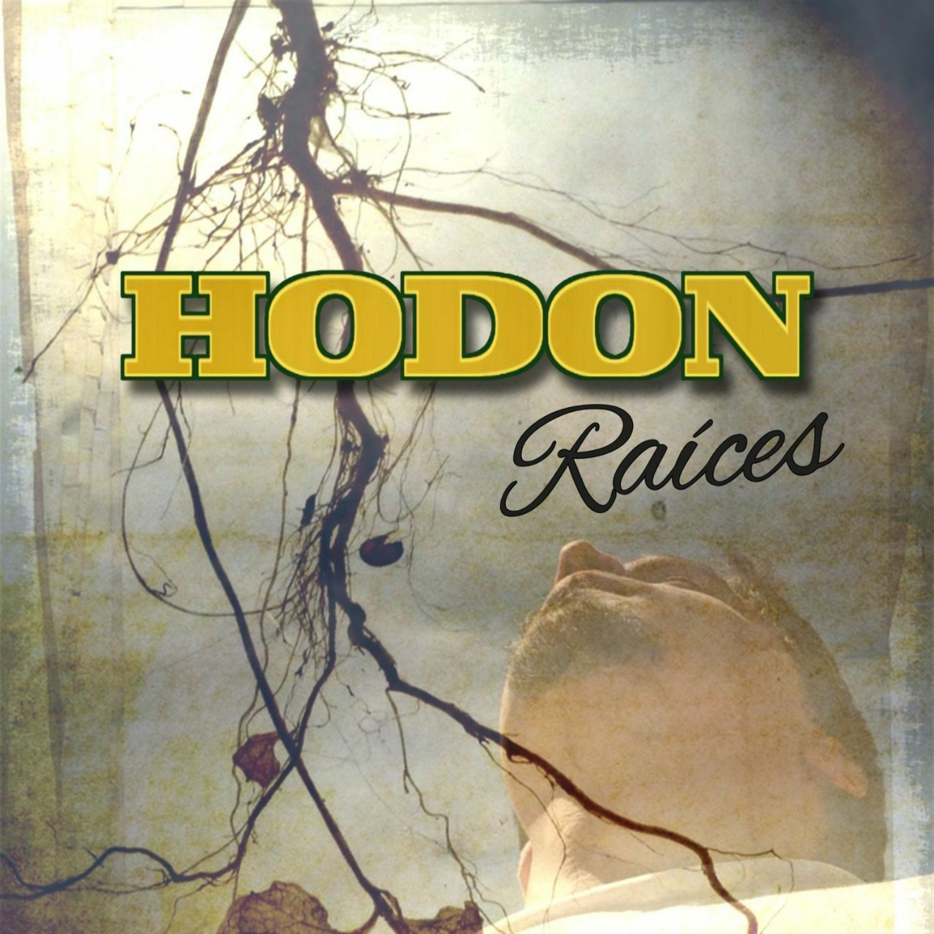Portada de Hodon Music
