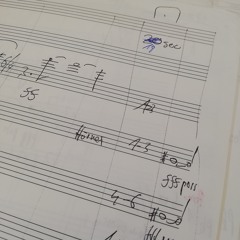 Aufriss (2012/13) for large orchestra