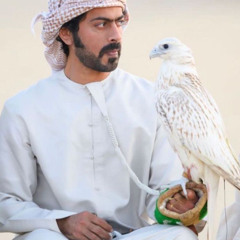 صغت المعاني 💫✨