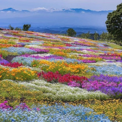 Ed Sheeran Medley- Piano Cover